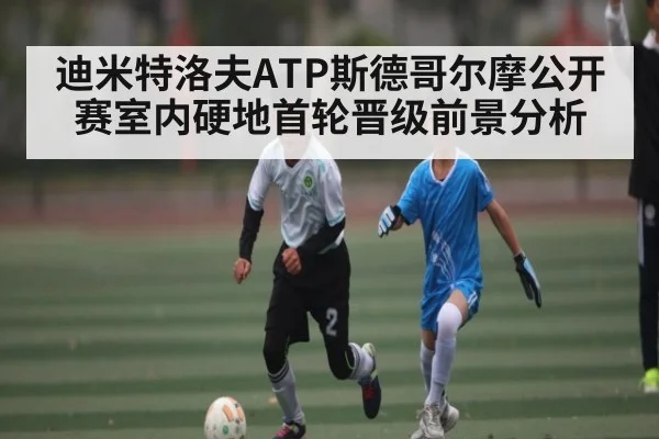 迪米特洛夫ATP斯德哥尔摩公开赛室内硬地首轮晋级前景分析 | kaiyun